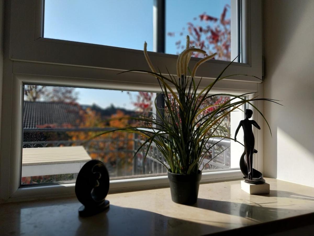 Bad Aibling City Apartment - Alpenblick Extérieur photo